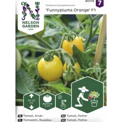 Ruukkutomaatti siemen Nelson Garden Basic Funnyplums Orange F1