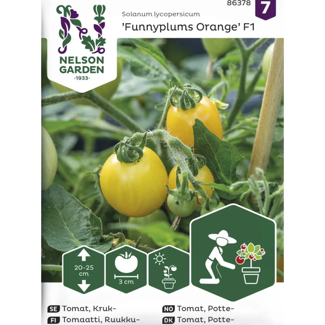 Ruukkutomaatti siemen Nelson Garden Basic Funnyplums Orange F1