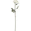 Ruusu Kotikulta 59 cm valkoinen
