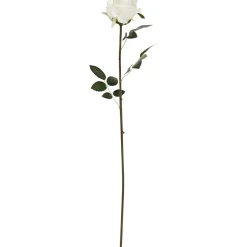 Ruusu Kotikulta 59 cm valkoinen