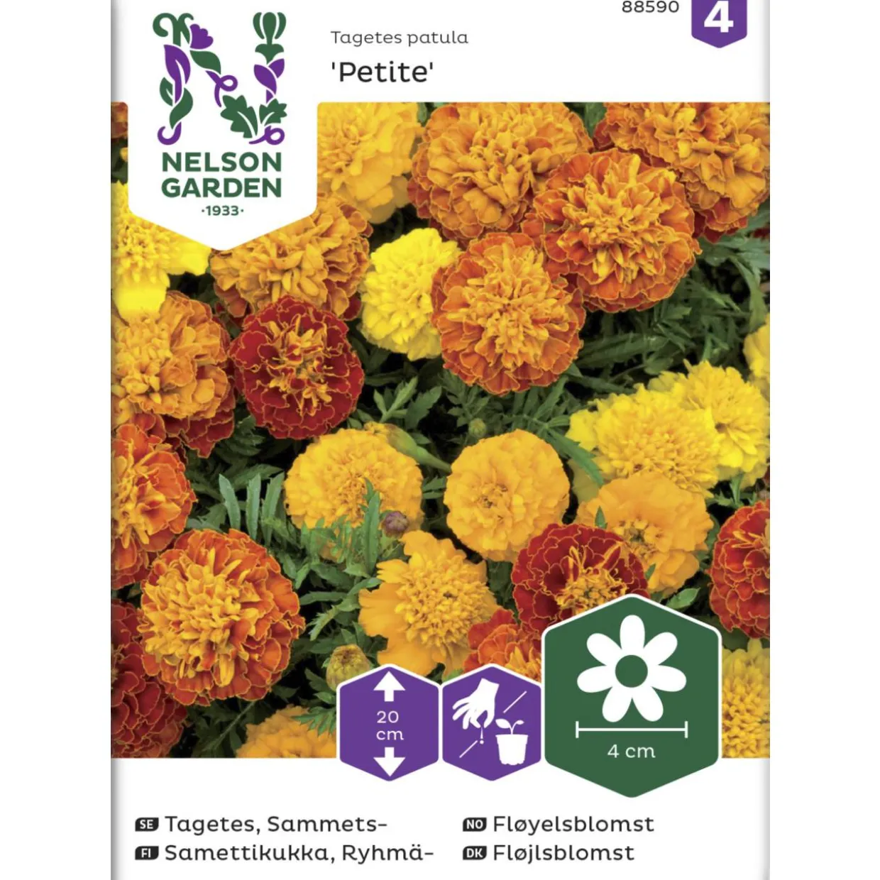 Ryhmäsamettikukka siemen Nelson Garden Basic Petite seos