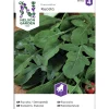 Salaatti siemen Nelson Garden Basic Rukola