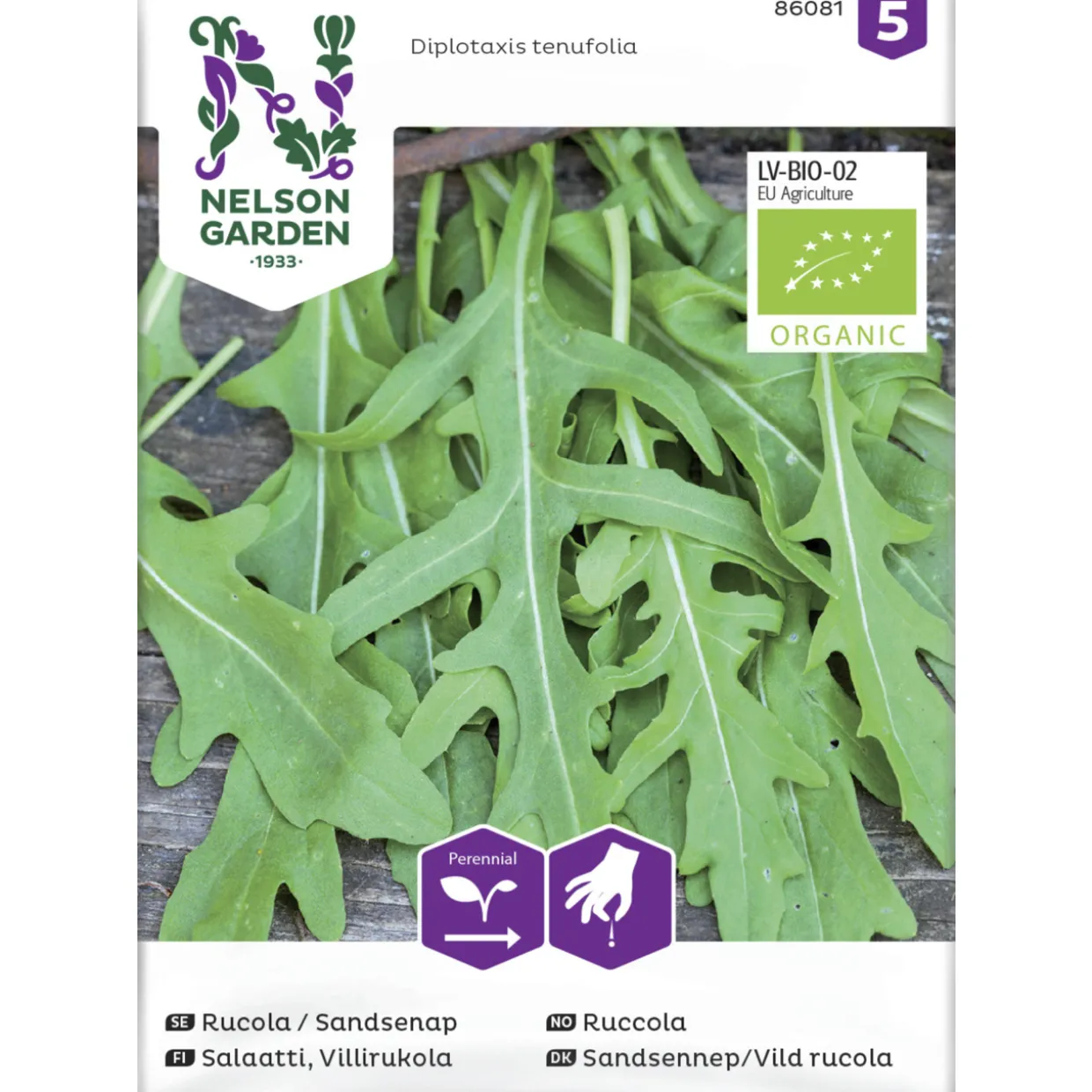Salaatti siemen Nelson Garden Basic Villirukola Organic
