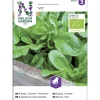 Salaattivuonankaali siemen Nelson Garden Basic Vit Organic