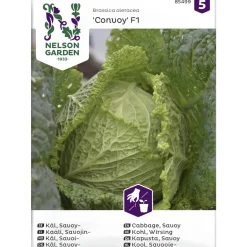 Savojinkaali siemen Nelson Garden Basic Convoy F1
