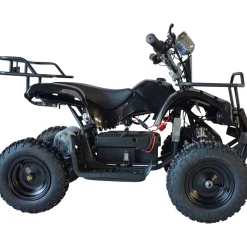 Sähkömönkijä Swoop Ranger 1000 W