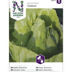 Sidesalaatti siemen Nelson Garden Basic Globus