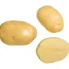 Siemenperuna Siikli 2,5 kg
