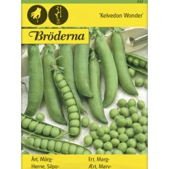 Silpoherne Kelvedon Wonder siemen Bröderna Nelsons
