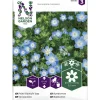 Sinisievikki siemen Nelson Garden Basic