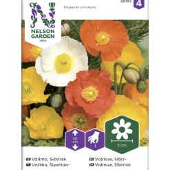 Siperianunikko siemen Nelson Garden Basic väriseos