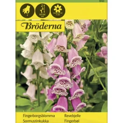 Sormustinkukka väriseos siemen Bröderna Nelsons
