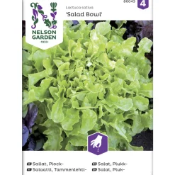 Tammenlehtisalaatti siemen Nelson Garden Basic Salad Bowl