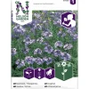 Tarhaillakko siemen Nelson Garden Basic