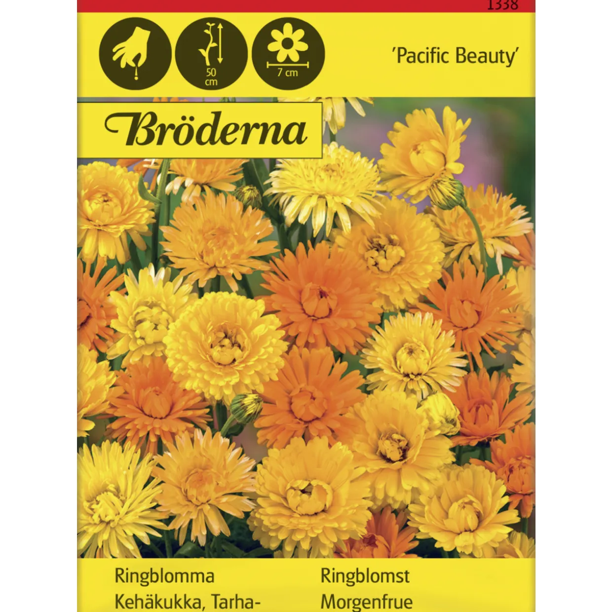 Tarhakehäkukka Pacific Beauty siemen Bröderna Nelsons