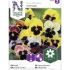 Tarhaorvokki siemen Nelson Garden Basic Hiemalis väriseos