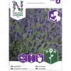 Tähkälaventeli siemen Nelson Garden Basic