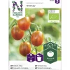 Tomaatti siemen Nelson Garden Basic Bronzy Organic