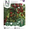Tomaatti siemen Nelson Garden Basic Lovertino F1