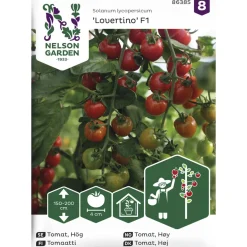 Tomaatti siemen Nelson Garden Basic Lovertino F1