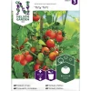 Tomaatti siemen Nelson Garden Basic ruukkuun Tiny Tim