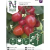 Tomaatti siemen Nelson Garden Basic Nagina F1