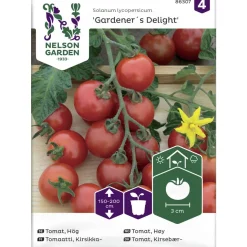 Tomaatti siemen Nelson Garden Basic Gardener´s Delight