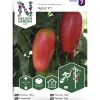 Tomaatti siemen Nelson Garden Basic Agro F1