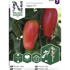 Tomaatti siemen Nelson Garden Basic Agro F1