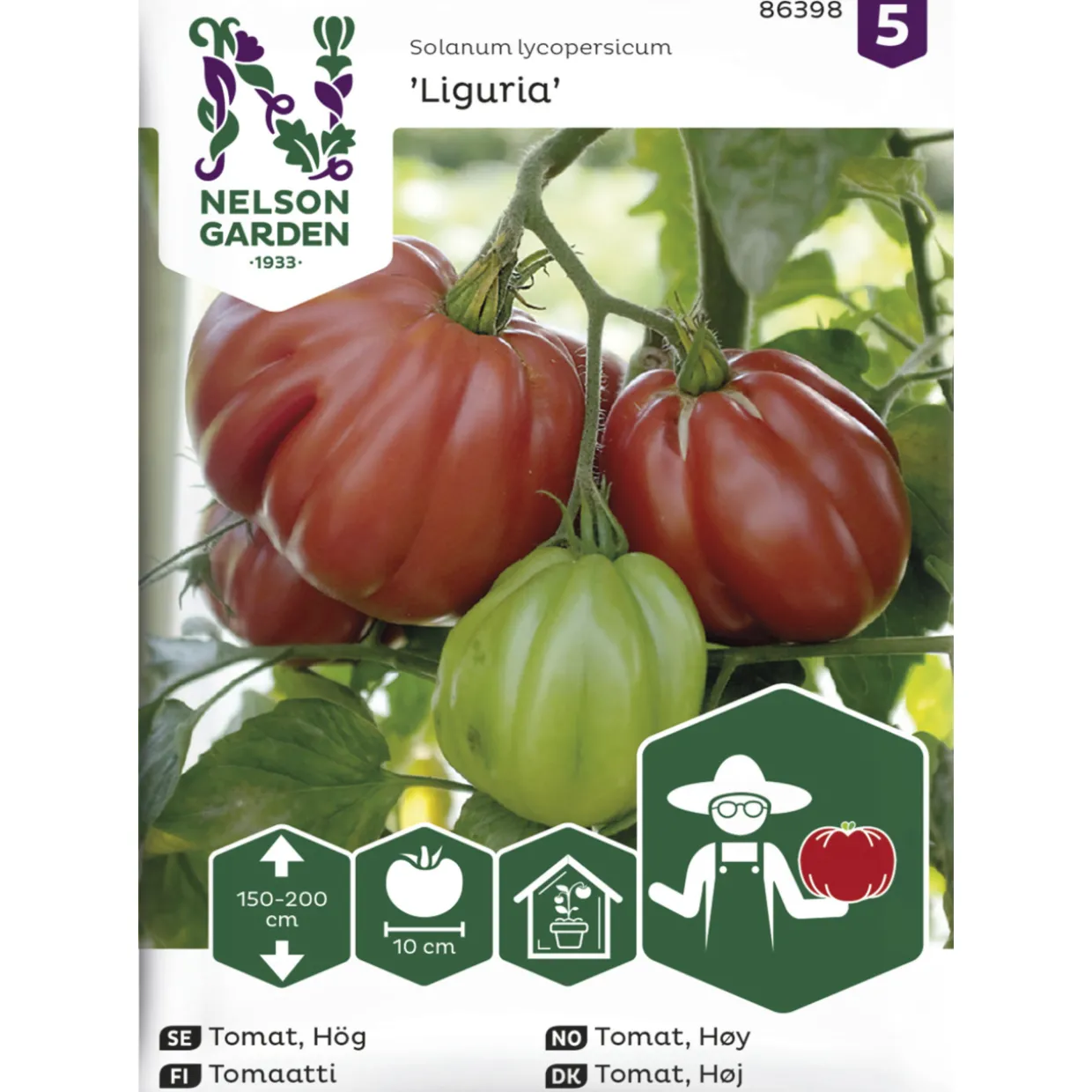 Tomaatti siemen Nelson Garden Basic Liguria