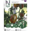 Tomaatti siemen Nelson Garden Basic Shimmer F1