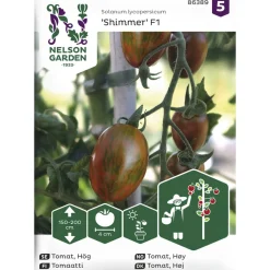 Tomaatti siemen Nelson Garden Basic Shimmer F1