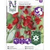 Tuoksuherne siemen Nelson Garden Basic Royal Scarlet