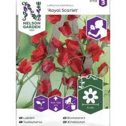 Tuoksuherne siemen Nelson Garden Basic Royal Scarlet