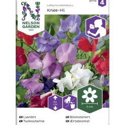 Tuoksuherne siemen Nelson Garden Basic Knee-Hi seos