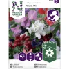 Tuoksuherne siemen Nelson Garden Basic Royal Mix