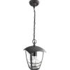 Ulkoriippuvalaisin Philips Creek 60 W