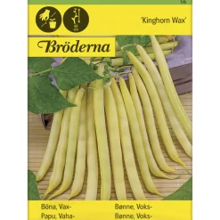 Vahapapu Kinghorn Wax siemen Bröderna Nelsons