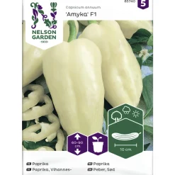 Vihannespaprika siemen Nelson Garden Basic Amyka F1