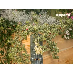 Viljelylaatikko Upyard Gardenbox 80x60 cm, käsittelemätön