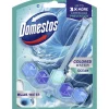 WC-raikastin Domestos 50 g Power 5 Blue Water Ocean